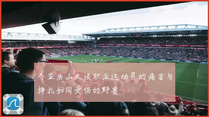 乔亚历山大谈职业运动员的痛苦与挣扎如同受伤的野兽